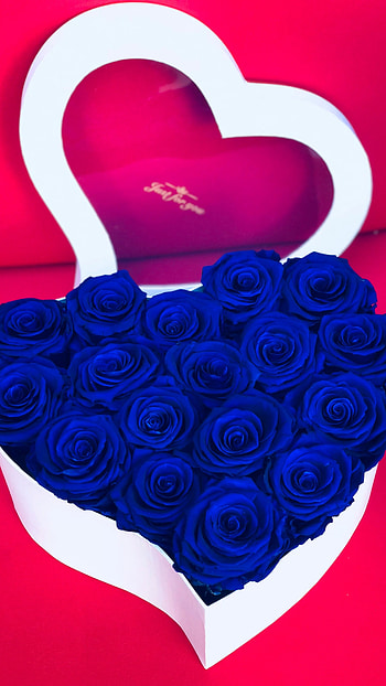Blue Heart, Flowers HD phone wallpaper