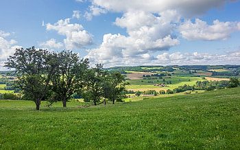 Fields of Normandy, France, clouds, trees, France, fields, meadow HD wallpaper