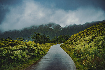 Road through green hills, mist, nature HD wallpaper