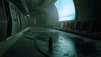 stray 14, video game, Stray HD wallpaper