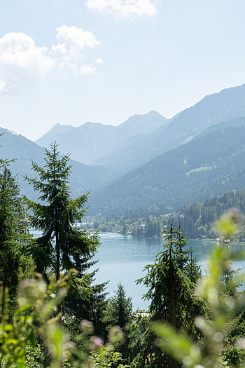 Nature, Trees, Mountains, Lake, Shore, Bank, Forest HD phone wallpaper