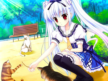 Playing with cats, animal, brown eyes, mitha, game cg, kusunoki kukune, seifuku, cute, kawai, girl, cat, long hair, anime girl, anime, twintails, white hair, yuyukana HD wallpaper