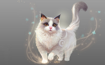 Cat, zazproject, z az project, fantasy, pisici HD wallpaper
