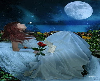 you.., night, rose, girl, moon HD wallpaper