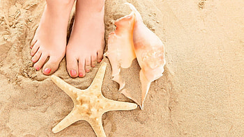 Feeling the Beach, feet, sand, sea shells, beach HD wallpaper