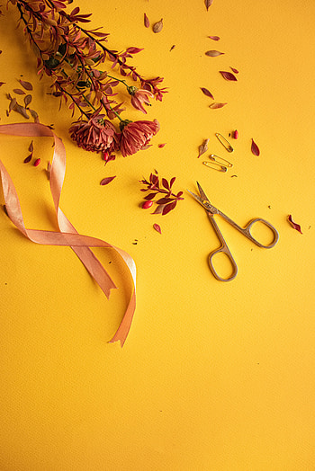 Flowers, Miscellanea, Miscellaneous, Tape, Scissors, Pins, Safety Pins HD phone wallpaper