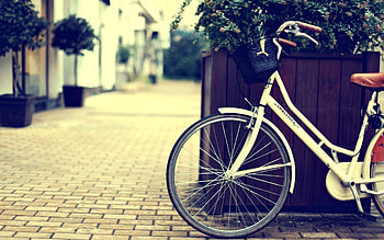 bicycle street town shopping basket wheel plant flower flower city . HD wallpaper