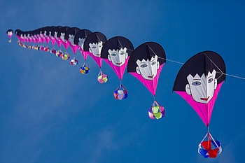 Kite Flying, Kite Festival, Gujarat HD wallpaper