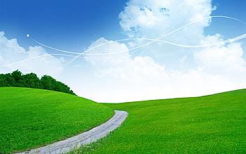 patch way, way, patch, green, fields, sky, nature, grass HD wallpaper