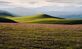 Landscape view of Kalajun Prairie, Yili Xinjiang, 7 June 2015, Landscape, Kalajun, Prairie HD wallpaper