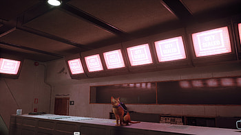 stray 12, video game, Stray HD wallpaper