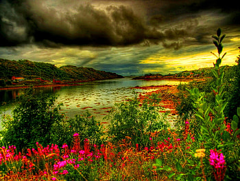 Calm river, river, peaceful, mountain, lake, reflection, clouds, nature, flowers, sky, water, calm HD wallpaper
