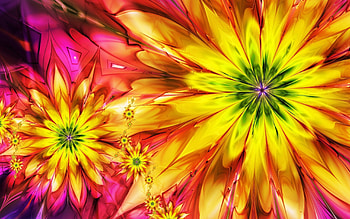 Abstract, Flowers, Background, Petals, Colorful, Colourful HD wallpaper