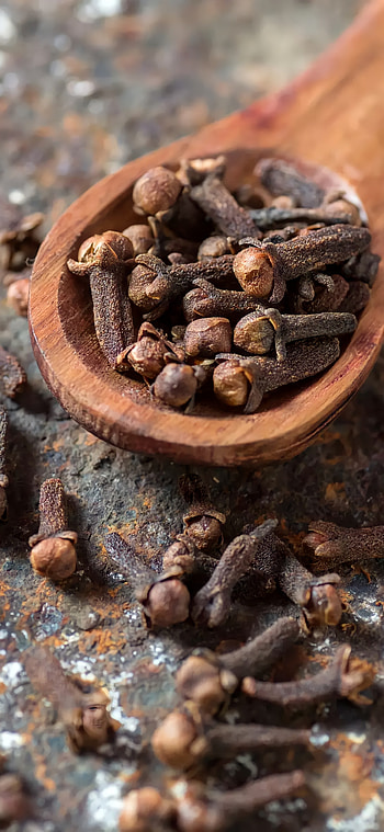 Flower, clove HD phone wallpaper