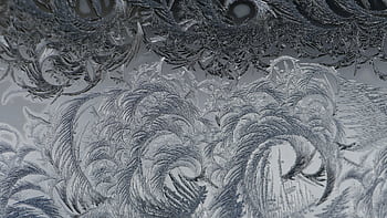 Close-up of detailed frosty patterns on a window, showcasing natural icy designs. HD wallpaper