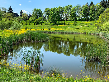 Lacul de la muzeu, ser, ger, cer, aer HD wallpaper