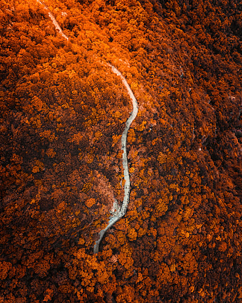 Nature, View From Above, Mountain, Forest, Slope, Track HD phone wallpaper