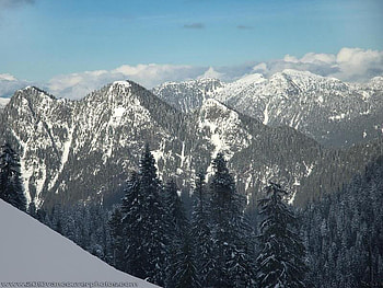 Snow Top Mountains, trees, sky, snow, mountain HD wallpaper