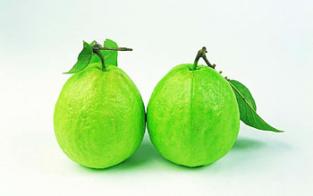 Guava paradise, Digital artwork, Exquisite HD wallpaper