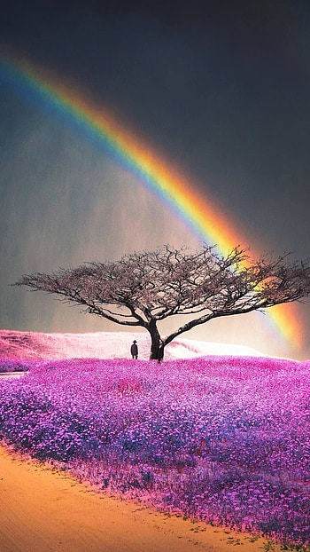 Beautiful For, Purple Flowers, pruple flowers HD phone wallpaper