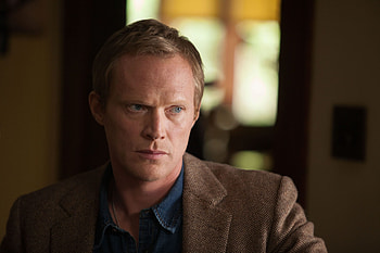 Paul Bettany, Actor, Marvel universe, Vision HD wallpaper