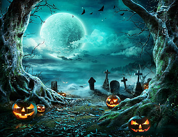 Halloween backdrop, pumpkins, backdrop, full, moon HD wallpaper