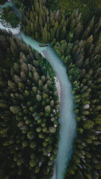 Nature, Rivers, Trees, View From Above, Forest, Winding, Sinuous HD phone wallpaper