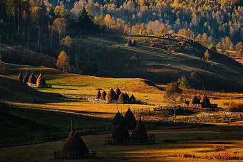 Hill Romania agriculture, Fence trees countryside HD wallpaper
