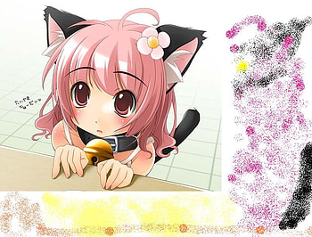 Kitty Girl!, k, i, y, t HD wallpaper