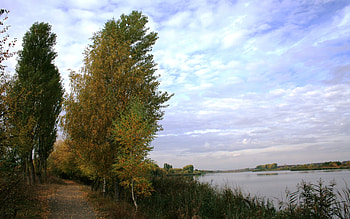 Landscape, Trees HD wallpaper