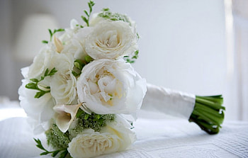 :), soft, bouquet, nature, flowers HD wallpaper