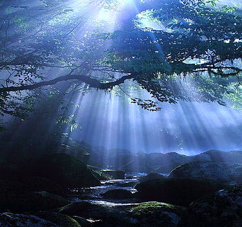 After the storm, clouds, rays, light, storm HD wallpaper