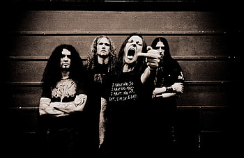 Pain, heavy, music, metal, band HD wallpaper