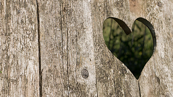 Heart, Old Wood HD wallpaper