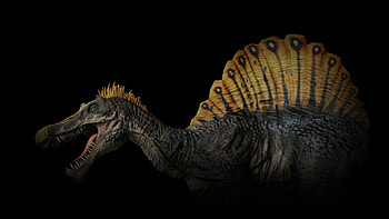 Steam community market, 215470 spinosaurus, In-game item, Virtual trading HD wallpaper