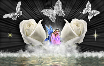 White Rose Fairy, fairy, butterflies, abstract, reflection, fantasy, digital art, fractal HD wallpaper