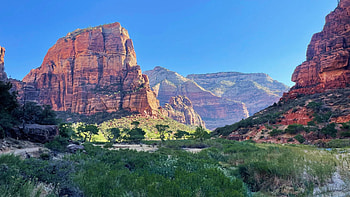Zion National Park, morning sun, utah, landscape, trees, sky, rocks, mountains, usa HD wallpaper