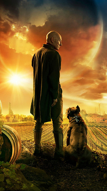 Star Trek Picard, , , TV Shows HD phone wallpaper