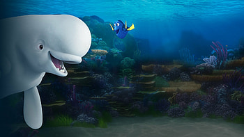 Bailey and Dory, Finding Dory HD wallpaper