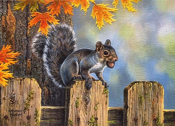 Furry Friend, love four seasons, animals, attractions in dreams, fence, autumn, paintings, fall season, squirrel HD wallpaper