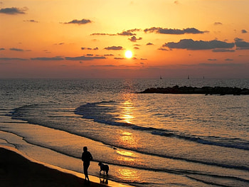 Landscape, Water, Sunset, Sky, Sea, Sun HD wallpaper
