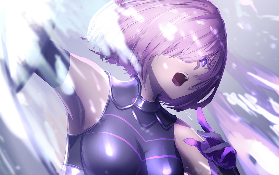 Shielder, , Fate Grand Order, protagonist, manga, Shīruda, TYPE-MOON, Fate Series, Servant of the Shield HD wallpaper