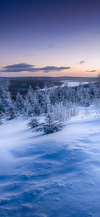 horizon, landscape, snow, nature, winter HD phone wallpaper