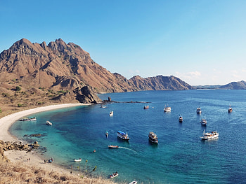 Komodo Island, Meeting dragons, Little worlds HD wallpaper