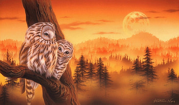 Summer Owls, cute, forests, paintings, summer, owls, love four seasons, family, animals, couple, branches, lovely HD wallpaper