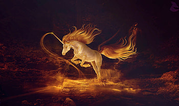 Fantasy Firelight Unicorn, golden, fantasy, Unicorn, magical, mystical, digital art, fire, wild, mythical HD wallpaper