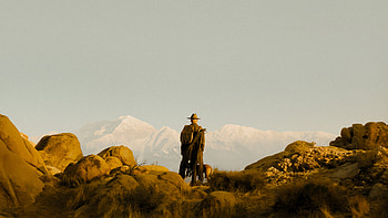 TV Show, Fallout (TV Show), Cowboy HD wallpaper