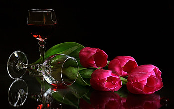 Flowers, Background, Tulips, Vine, Drinks HD wallpaper