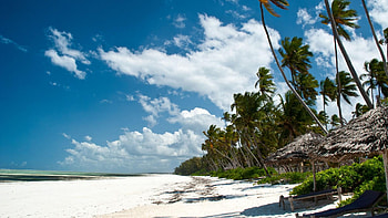 Zanzibar , Captivating beauty, Island vistas, Background perfection HD wallpaper