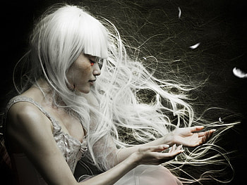 White hair, wind, woman, artistic HD wallpaper